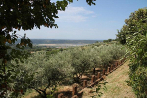 Apartma Solea